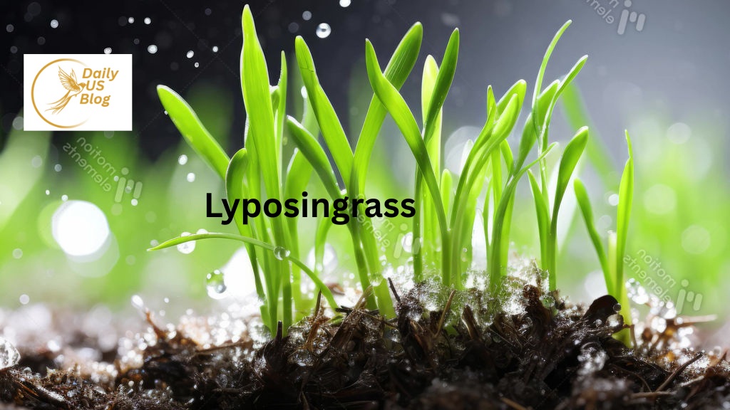 Lyposingrass
